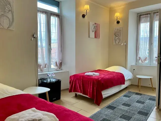 Chambre Twin Confort Hôtel des Causses Millau