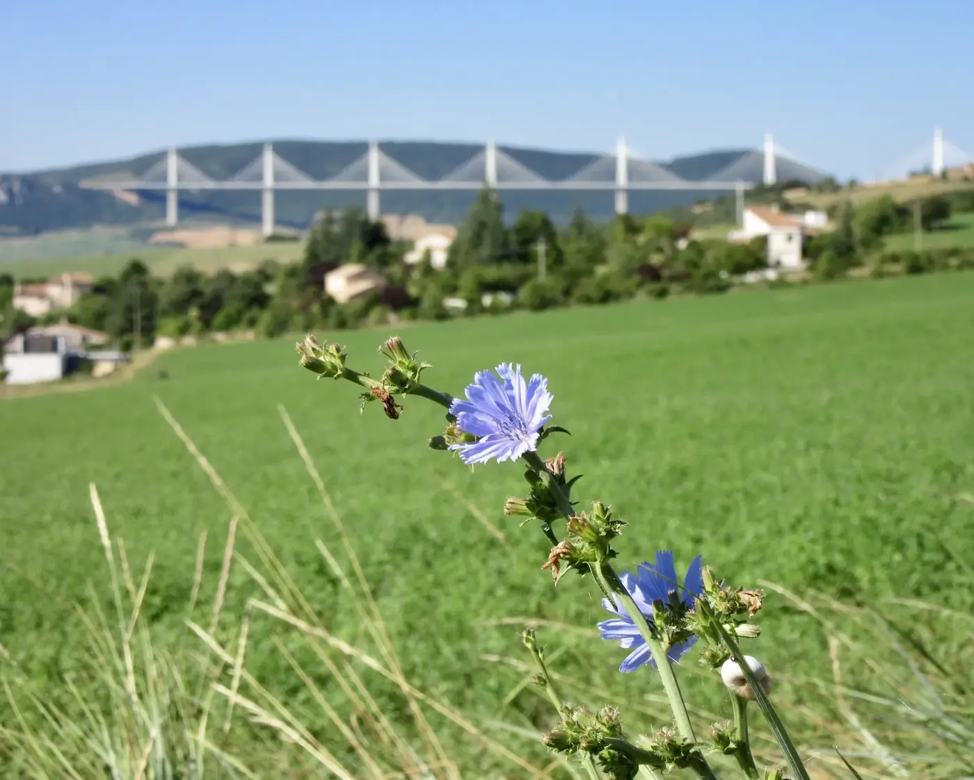 Viaduc de Millau, Aveyron — proche de l'Hôtel des Causses